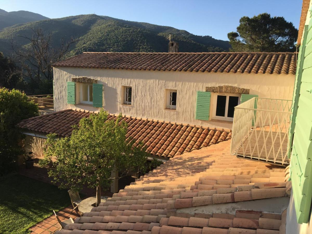 Villa Bonheur Vallespir Céret Zewnętrze zdjęcie