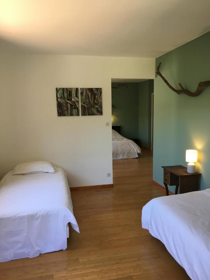 Villa Bonheur Vallespir Céret Zewnętrze zdjęcie