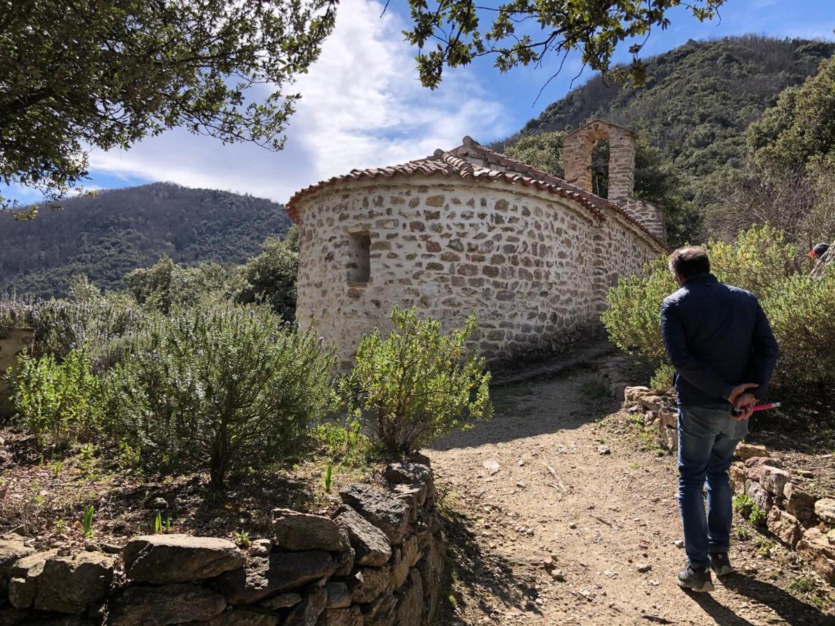 Villa Bonheur Vallespir Céret Zewnętrze zdjęcie