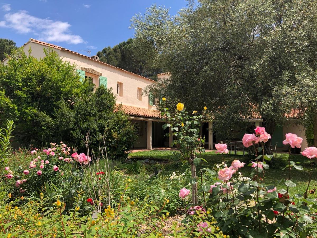 Villa Bonheur Vallespir Céret Zewnętrze zdjęcie