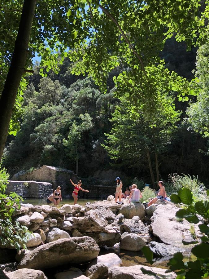 Villa Bonheur Vallespir Céret Zewnętrze zdjęcie