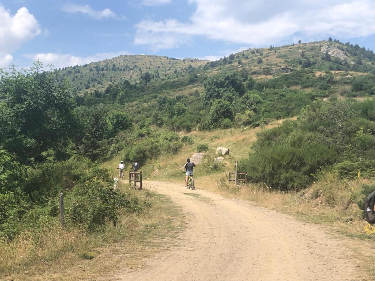 Villa Bonheur Vallespir Céret Zewnętrze zdjęcie