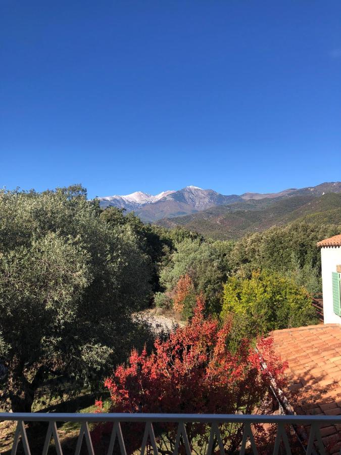 Villa Bonheur Vallespir Céret Zewnętrze zdjęcie