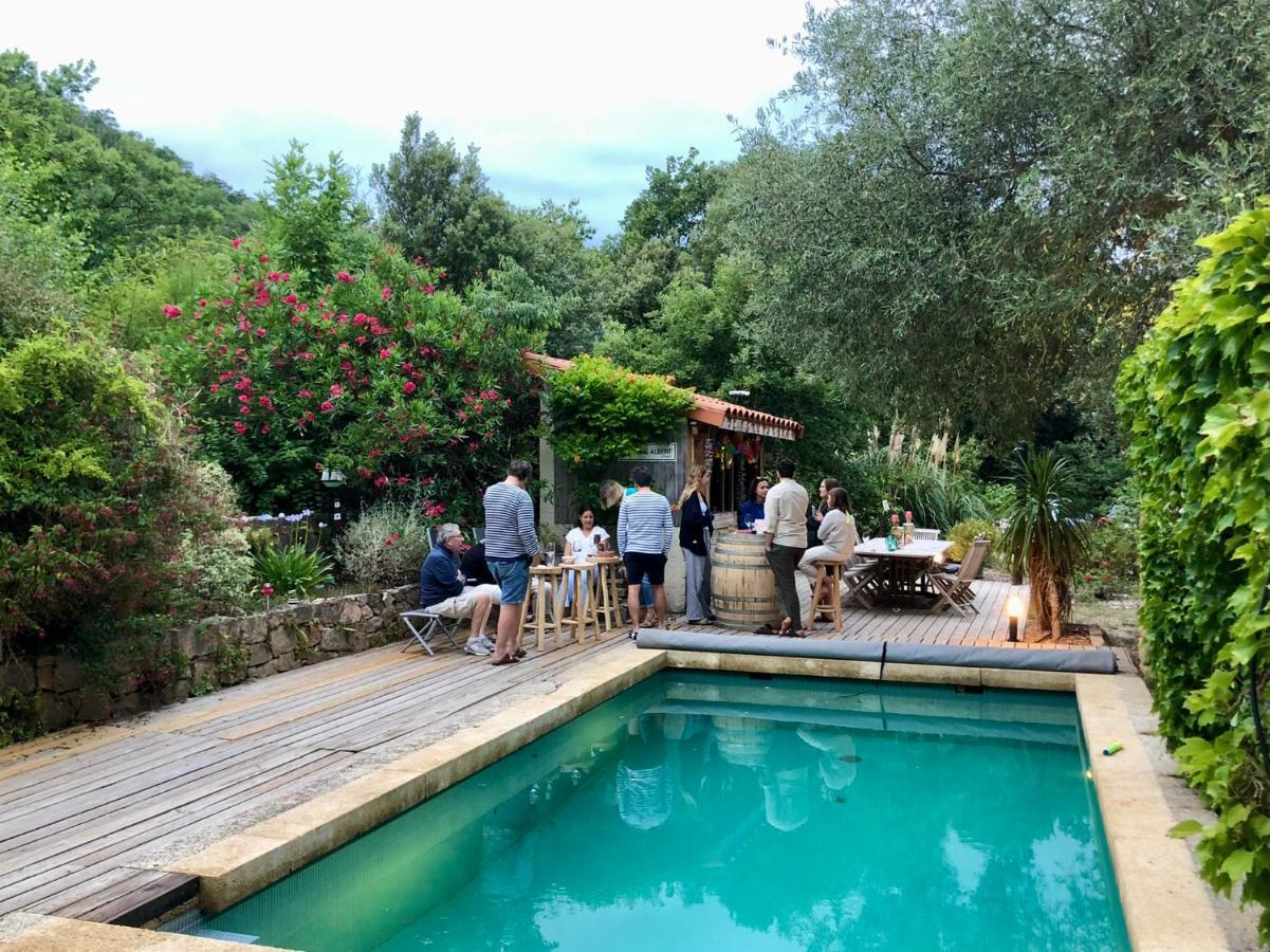 Villa Bonheur Vallespir Céret Zewnętrze zdjęcie