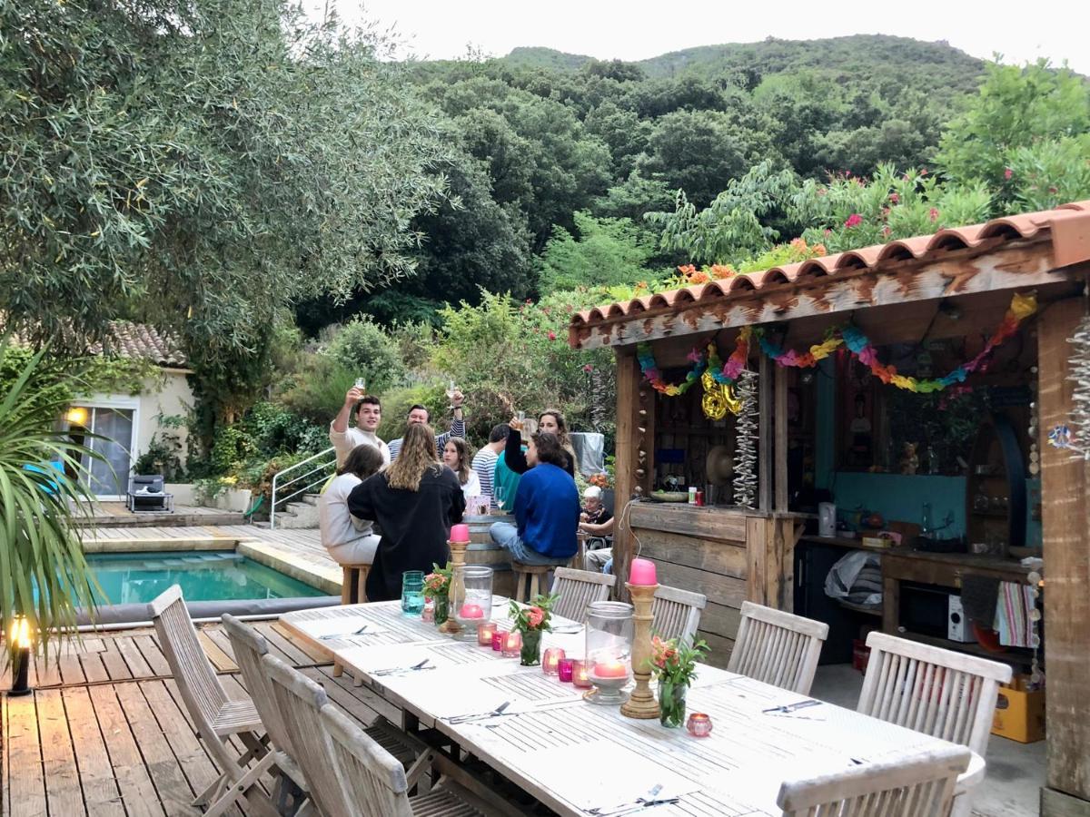 Villa Bonheur Vallespir Céret Zewnętrze zdjęcie