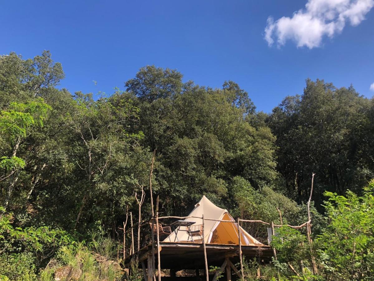 Villa Bonheur Vallespir Céret Zewnętrze zdjęcie