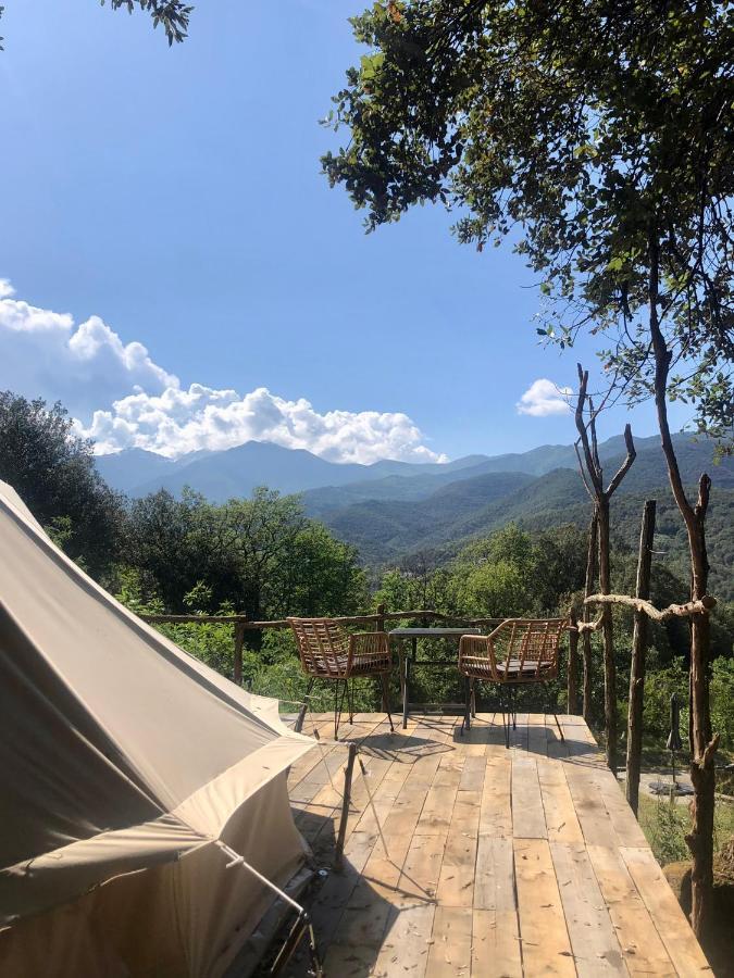 Villa Bonheur Vallespir Céret Zewnętrze zdjęcie