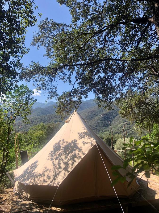 Villa Bonheur Vallespir Céret Zewnętrze zdjęcie