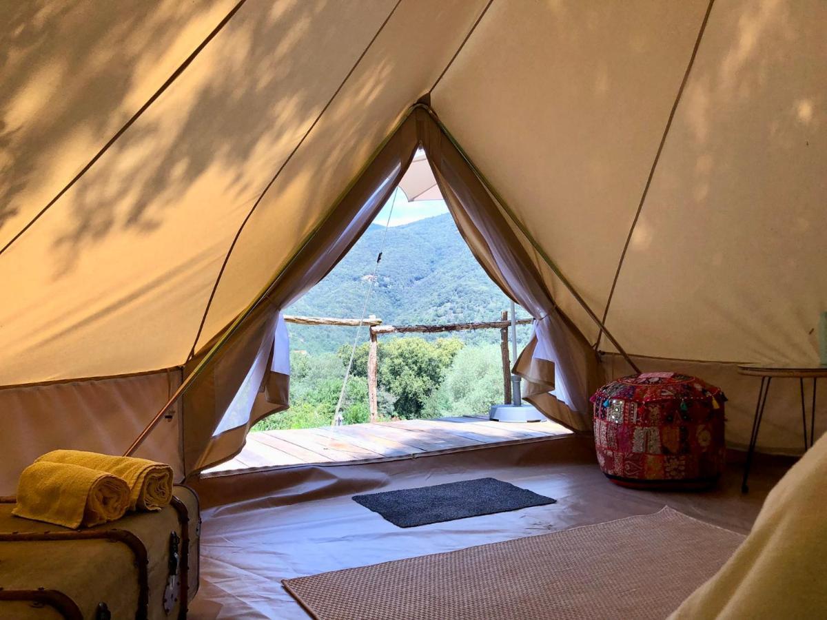 Villa Bonheur Vallespir Céret Zewnętrze zdjęcie
